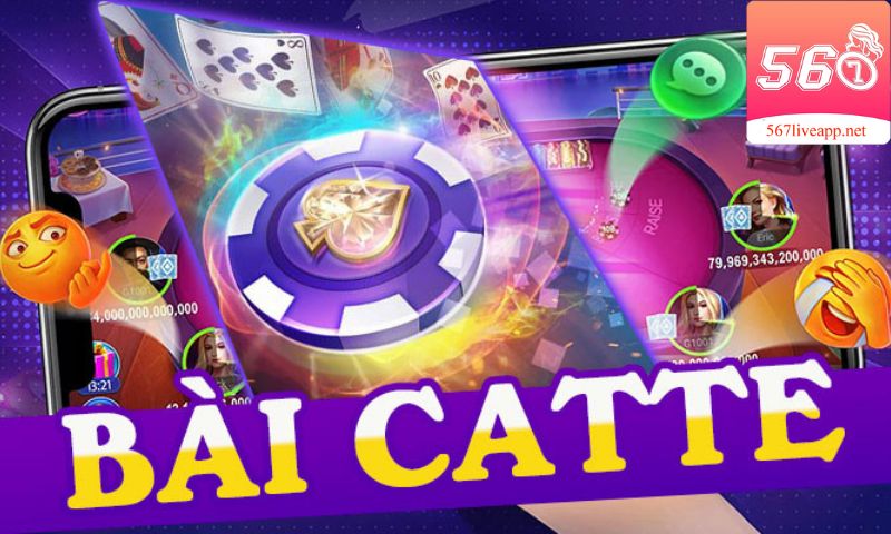 Cách chơi của catte