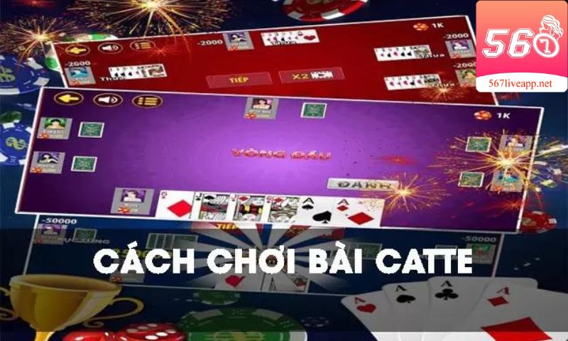 Kinh nghiệm chơi của catte